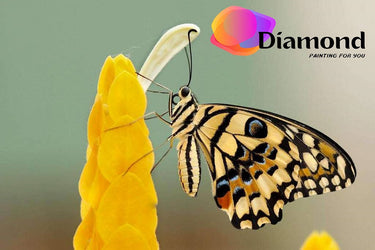 Diamond Painting Gele vlinder gele bloem Watermerk met Ronde steentjes 100x70cm - Beste Kwaliteit